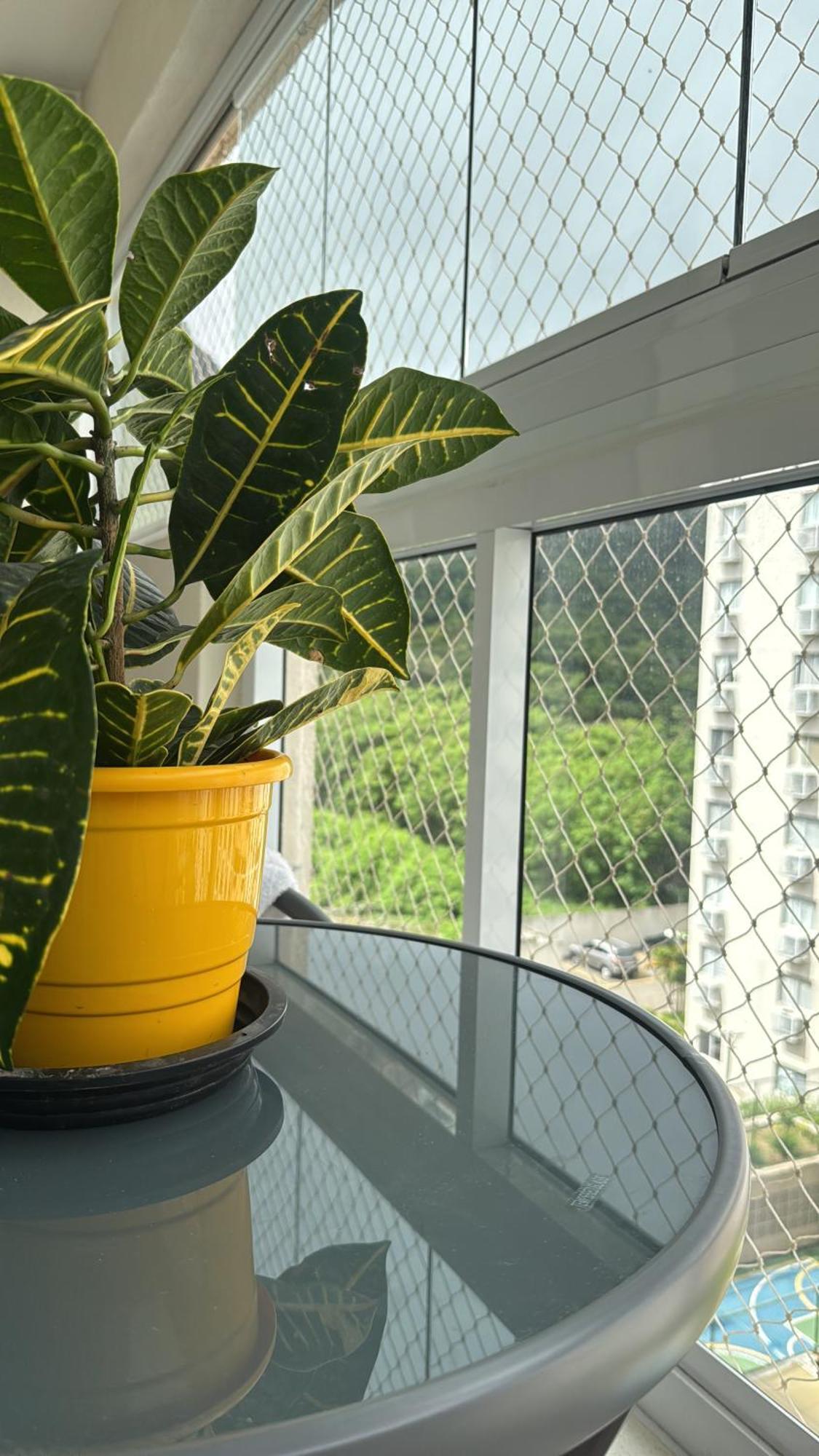 Ape Pontal Oceanico - Recreio Dos Bandeirantes Apartamento *